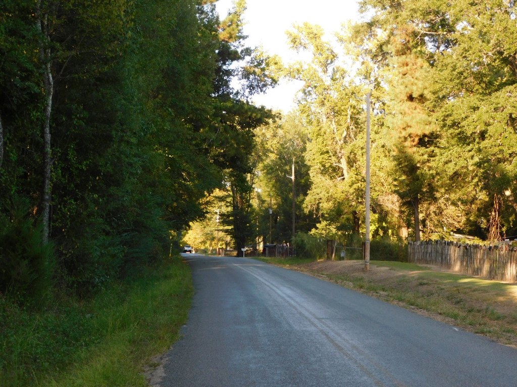 Picture 4