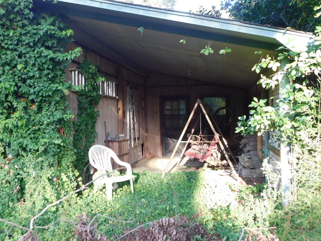 Picture 14