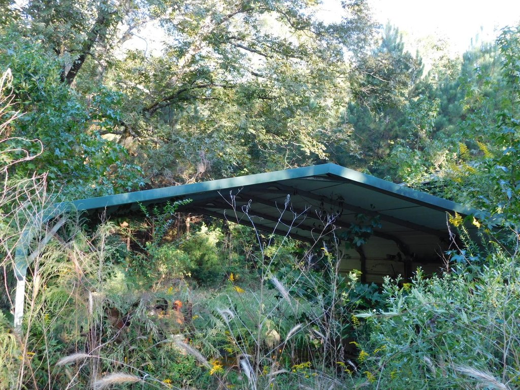 Picture 12