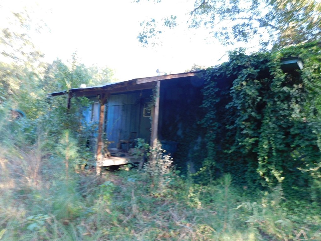 Picture 11