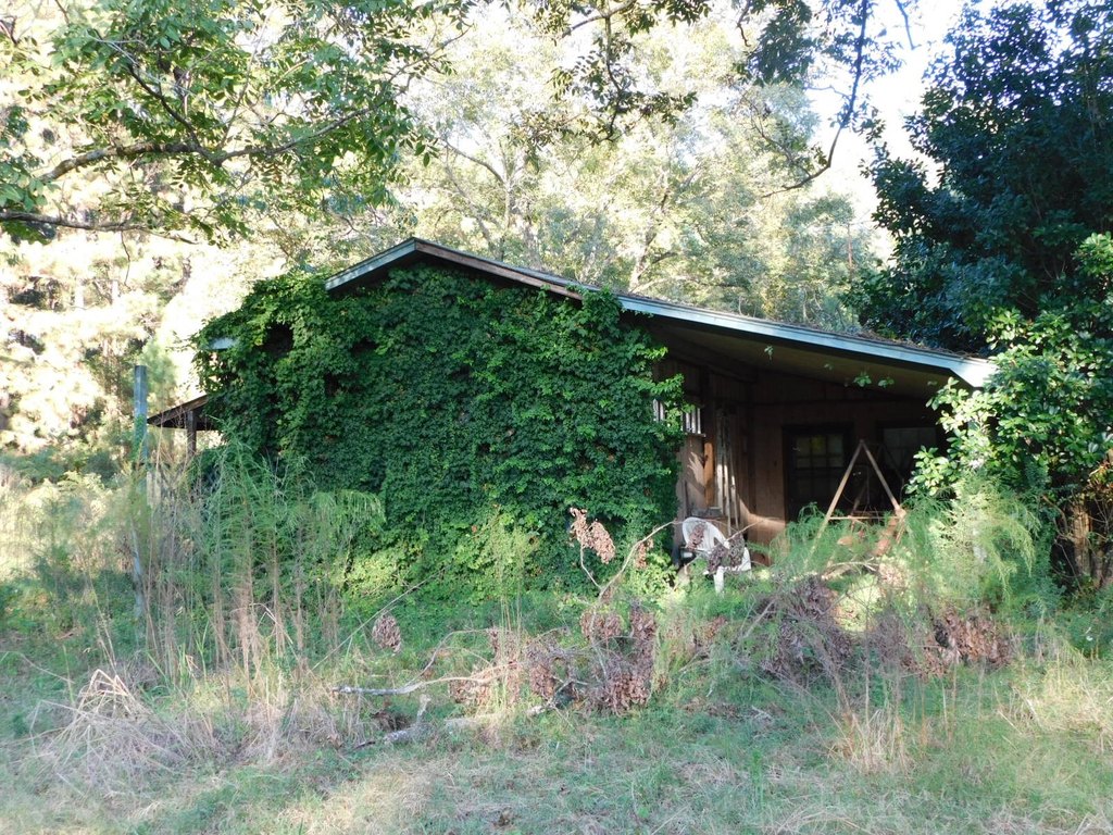 Picture 9