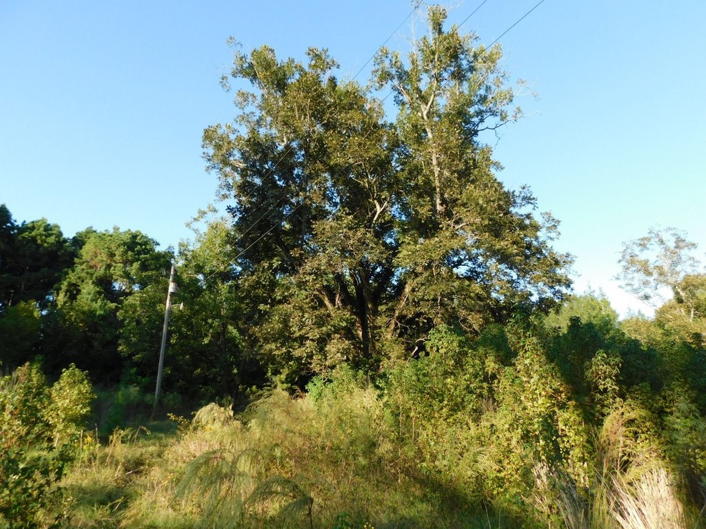 Picture 7