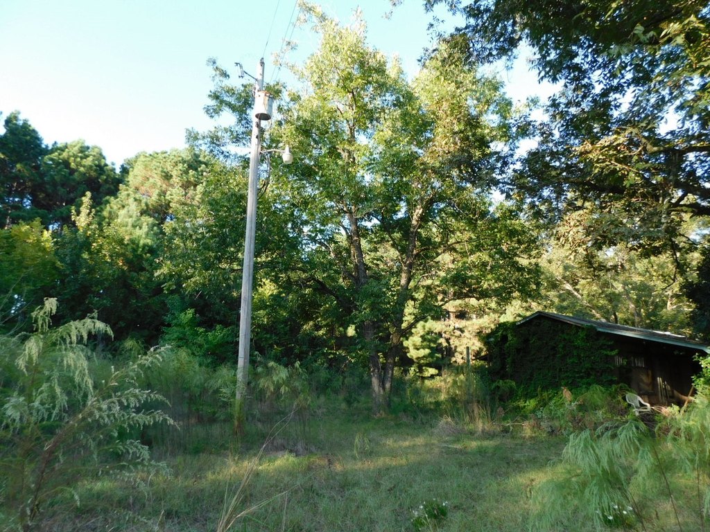 Picture 8