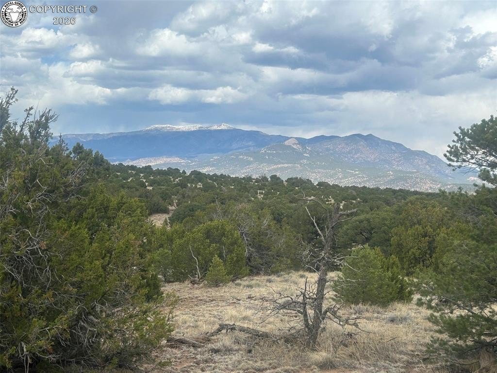 Colorado Mountain Land For Sale