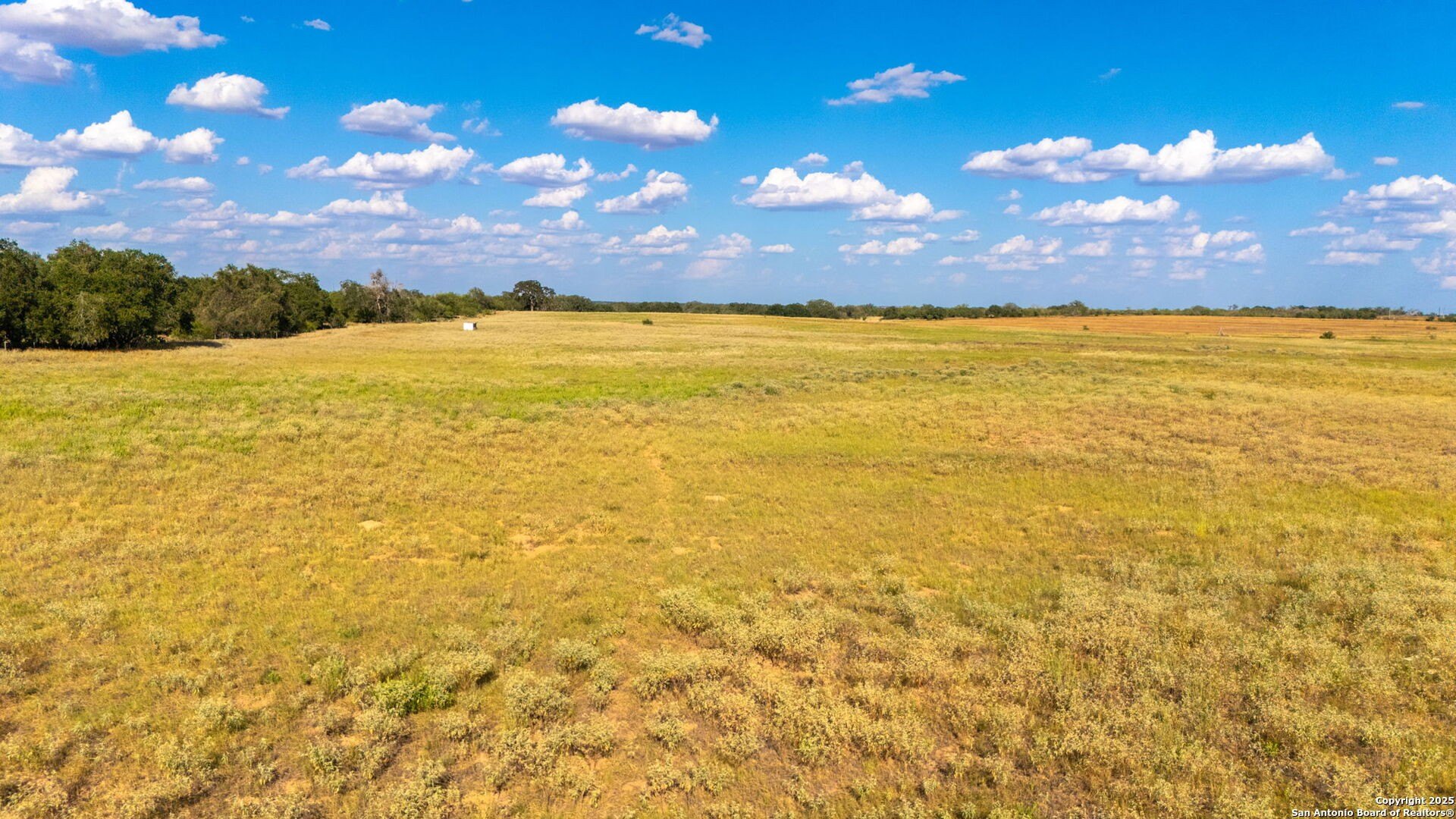 43.79 Acres Texas Countryside Land