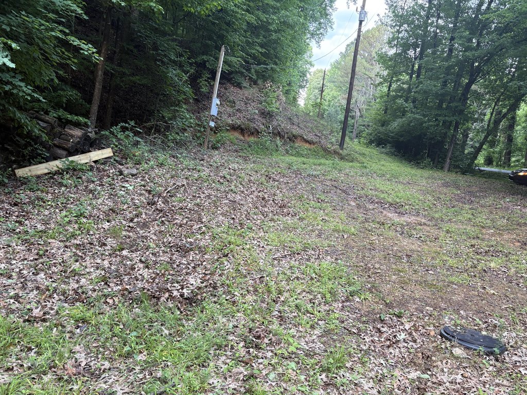 Picture 2