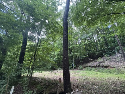 LAND - Cadiz, KY