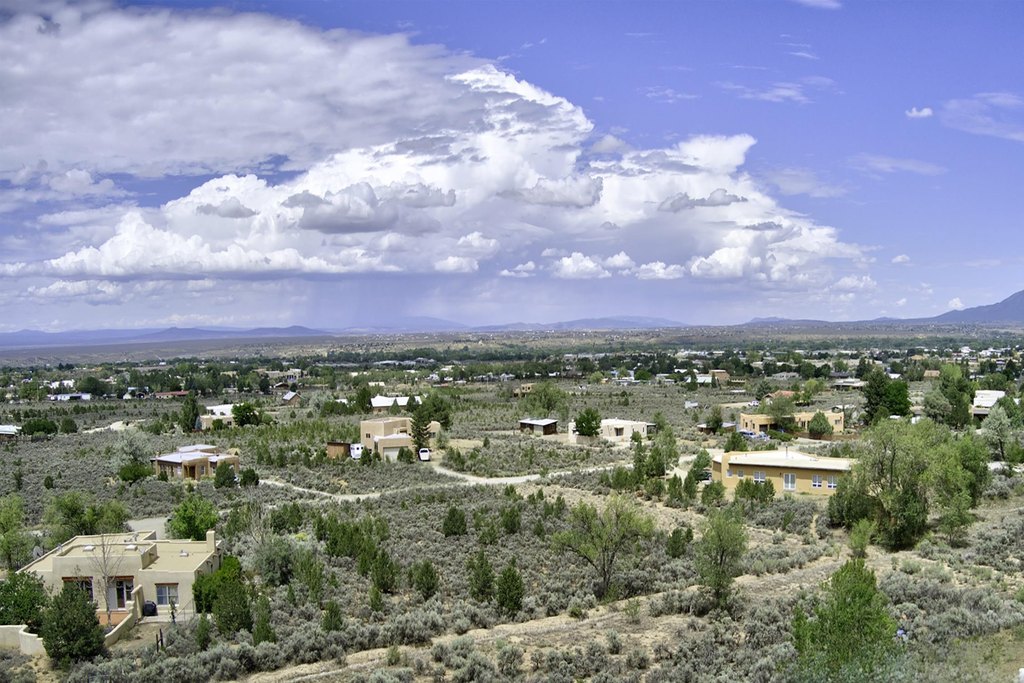 Picture 5