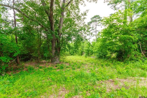 East Texas Acreage Homesite