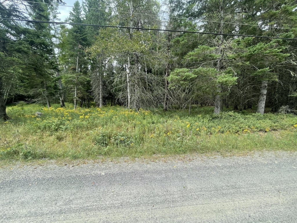 Picture 7