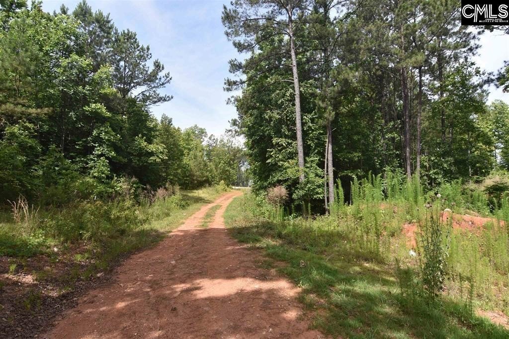 Picture 8