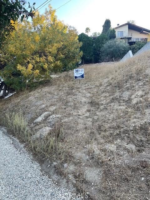 Picture 14