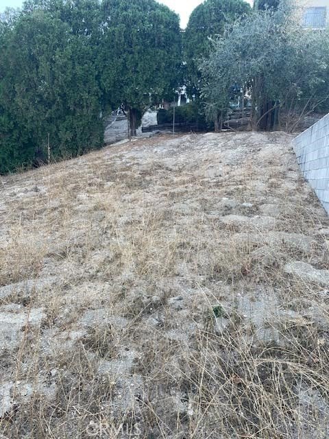 Picture 22
