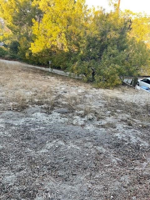 Picture 20