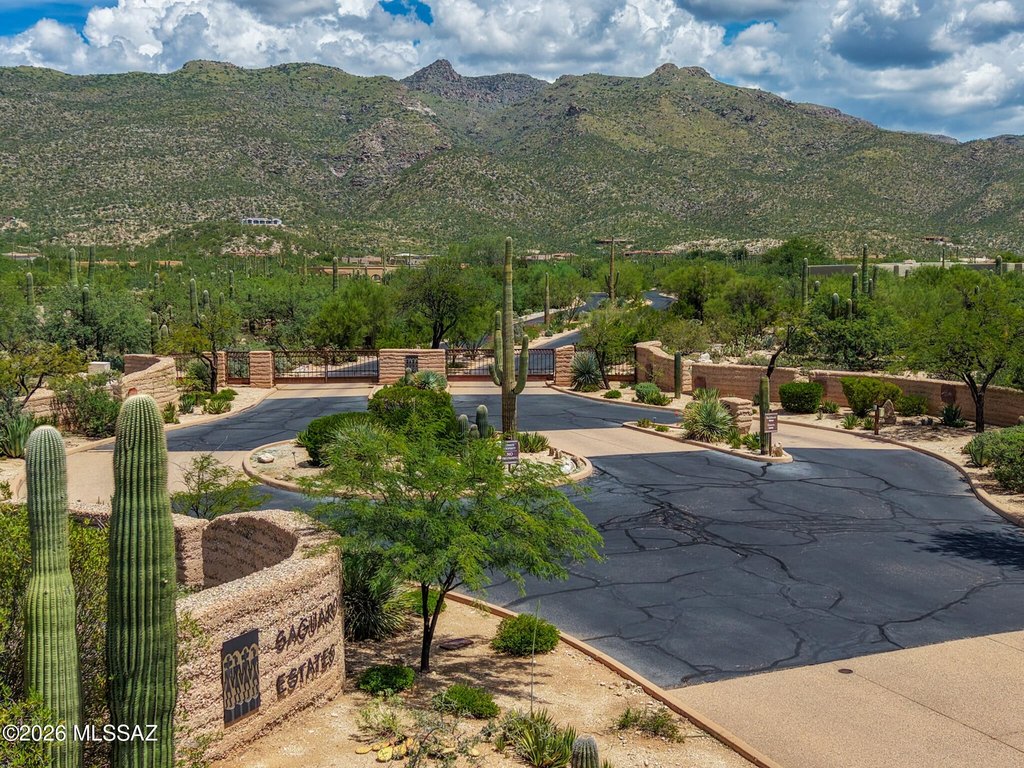 Picture 25