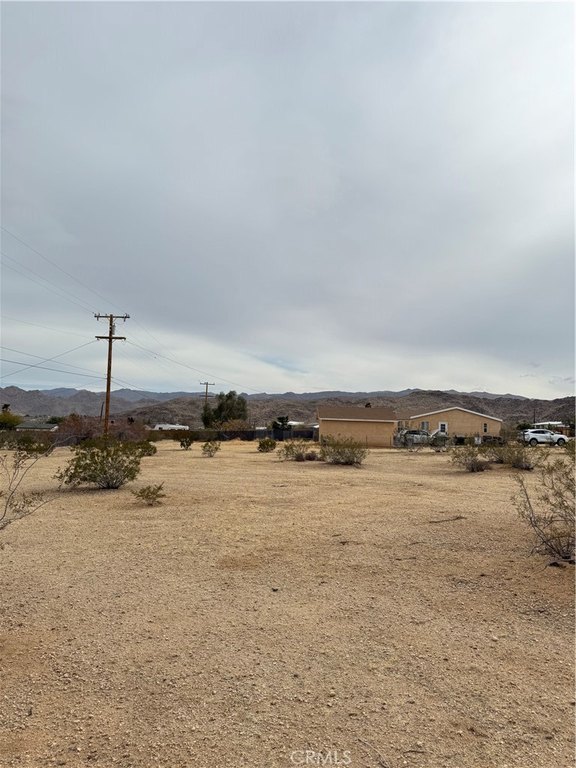 Picture 14