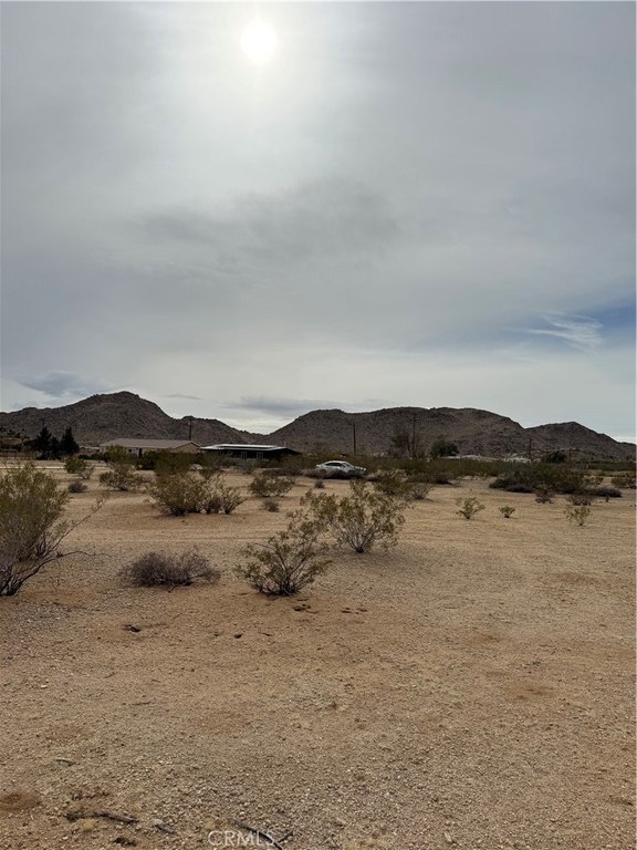 Picture 8