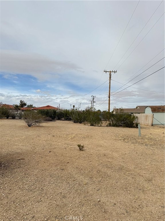 Picture 5