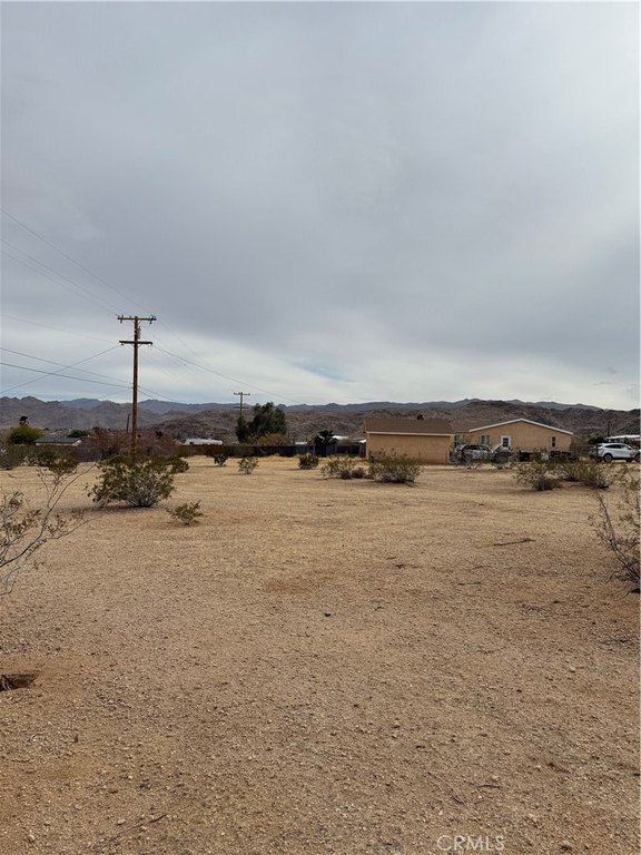 Picture 11