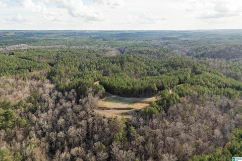 Cleared Waterfront Hunting Land