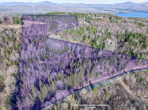 Wooded Recreational Land Lot