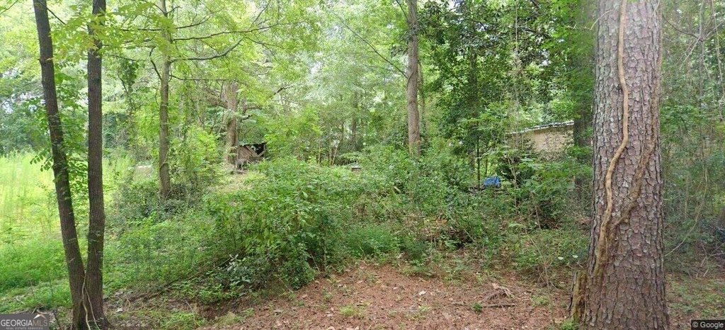 Picture 4