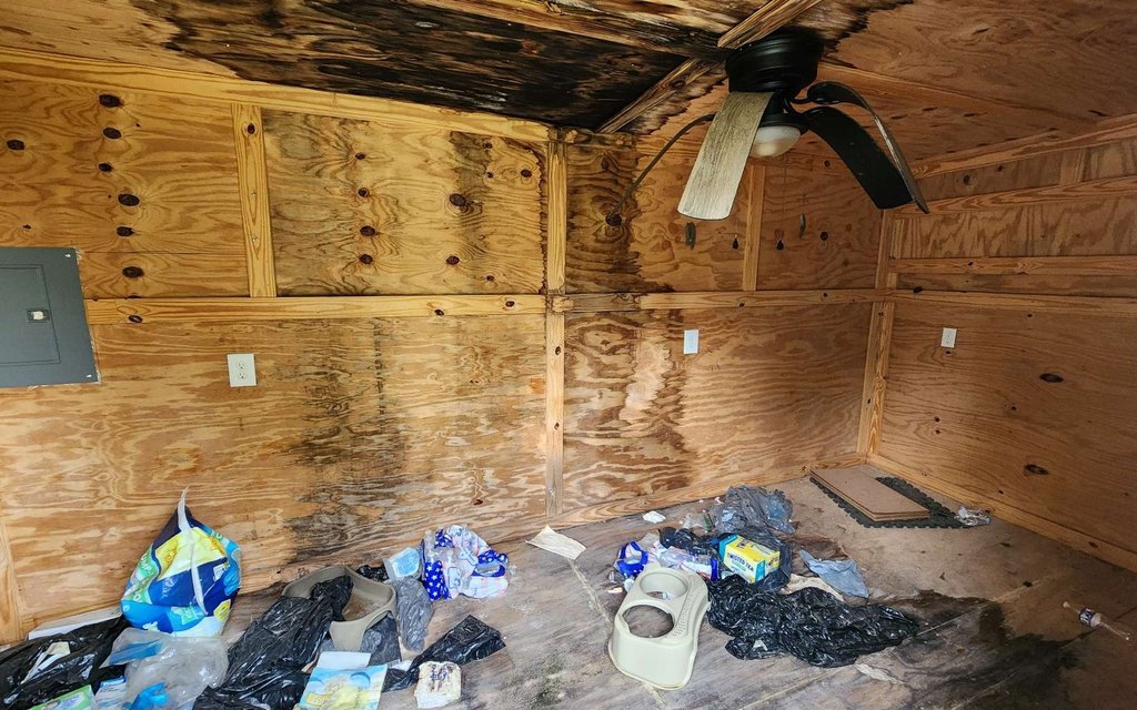 Picture 27