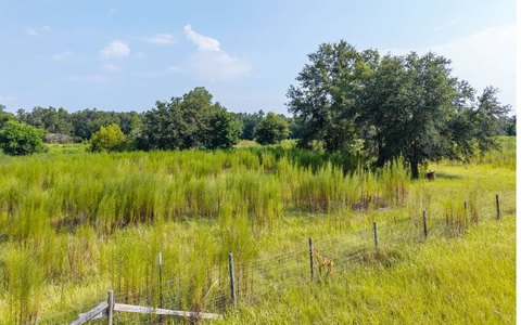 LAND - Madison, FL