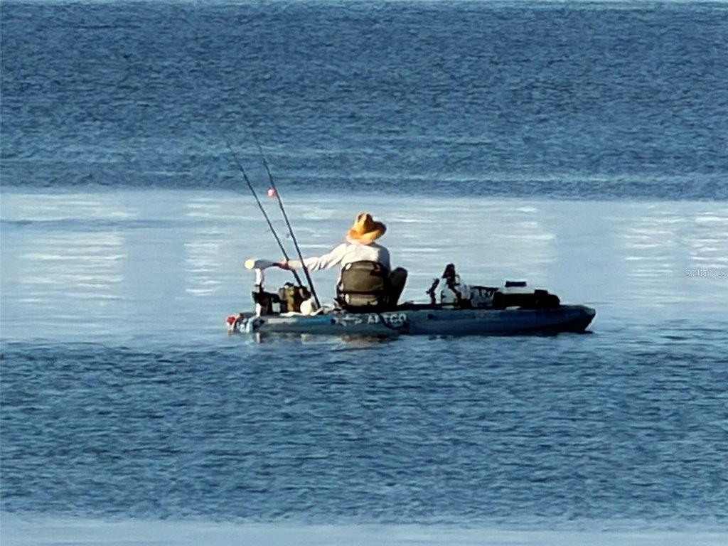 Picture 49