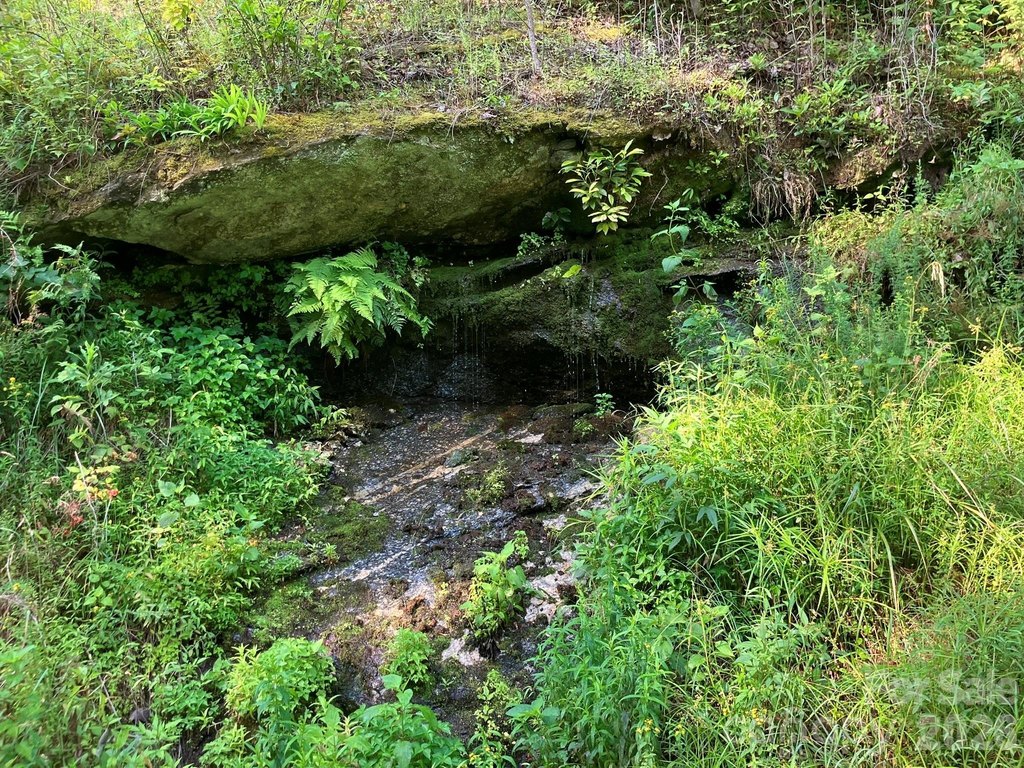 Picture 10