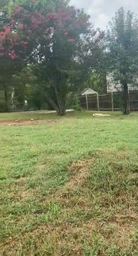 Land, Argyle, TX