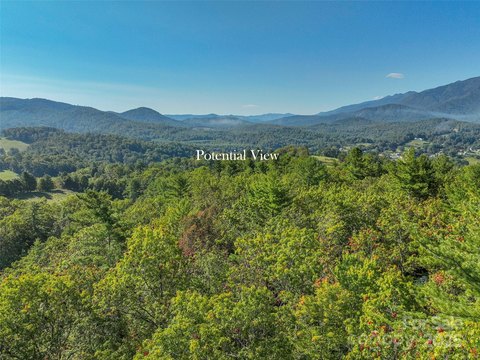 Wooded Land Near Burnsville, NC