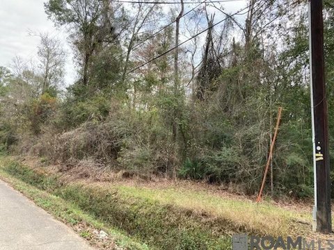 Land, Denham Springs, LA
