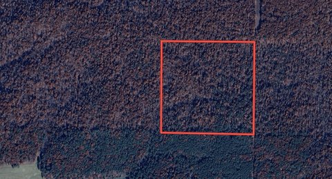 Missouri Ozarks Wooded Land