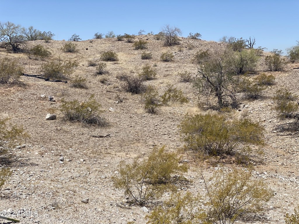 Picture 9