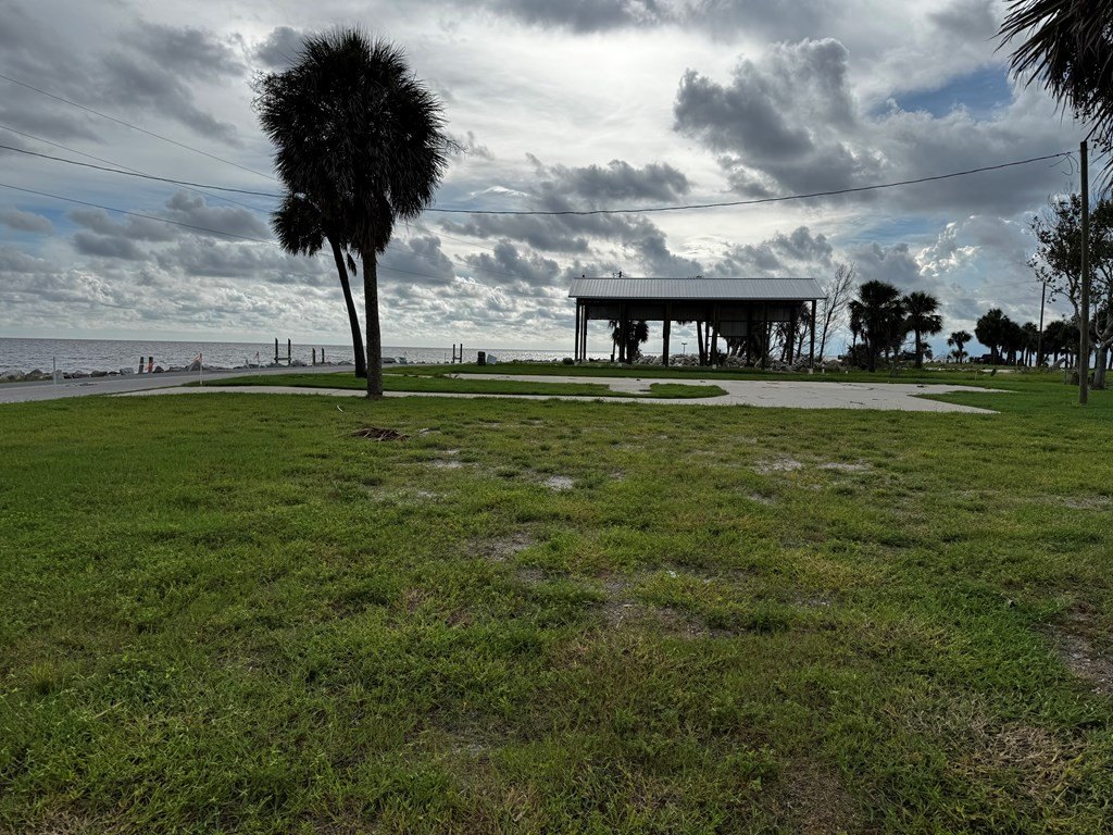 Picture 14