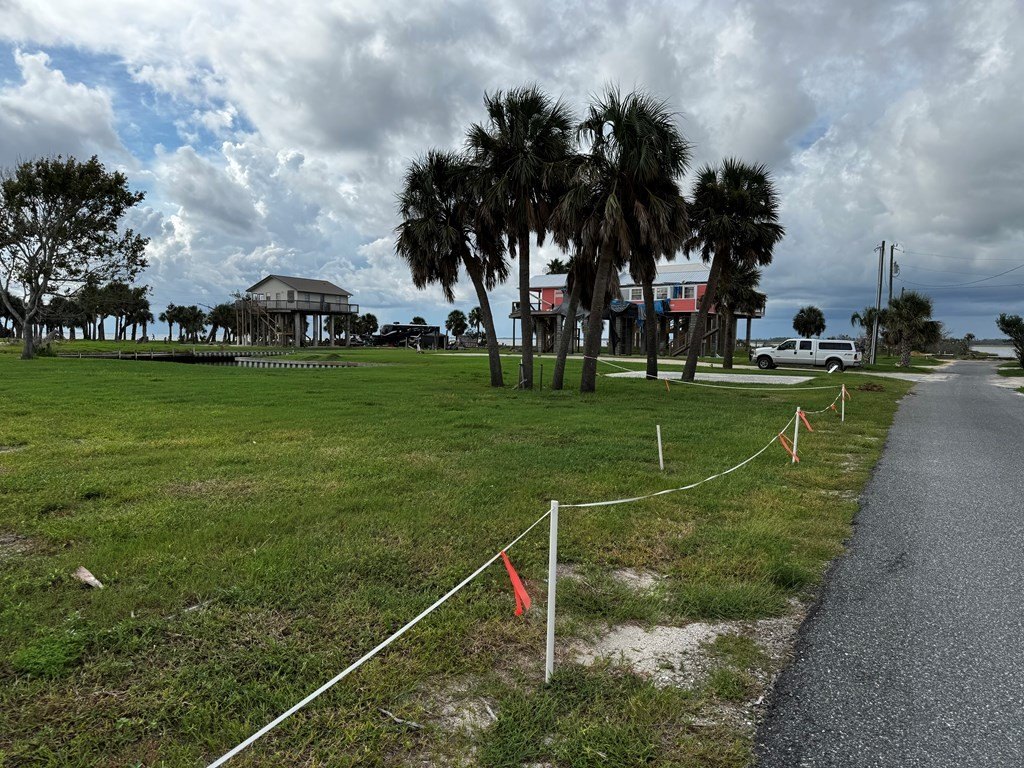Picture 19