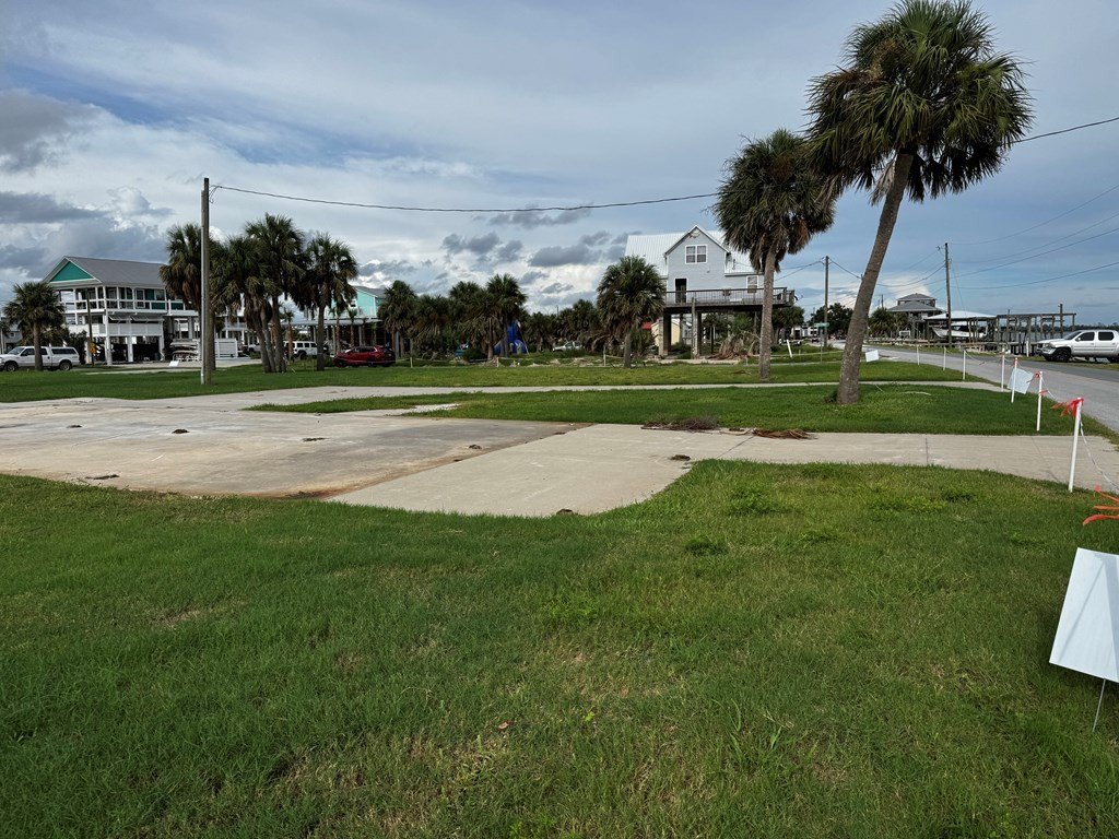 Picture 13
