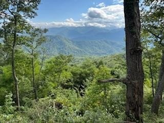 Mountain View Homesite in Bryson