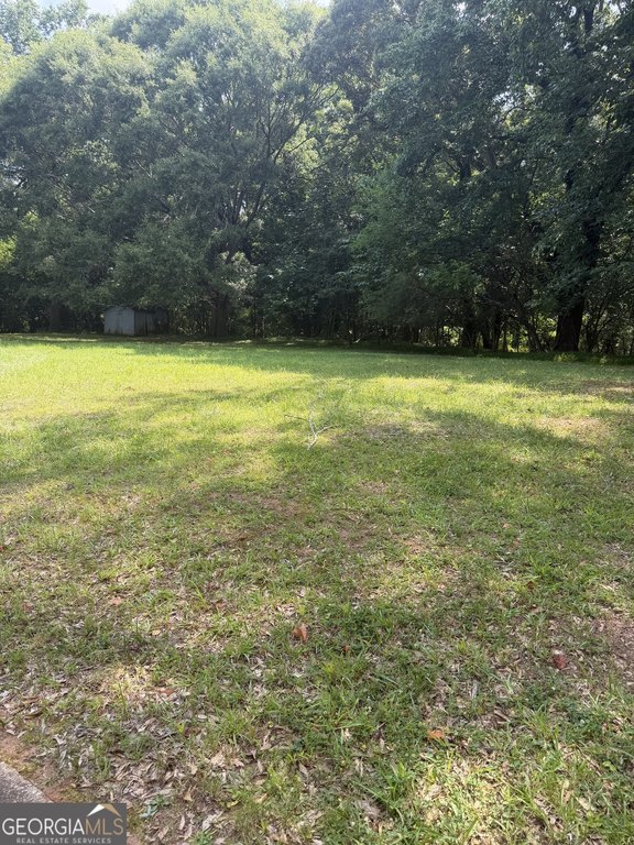 Picture 5