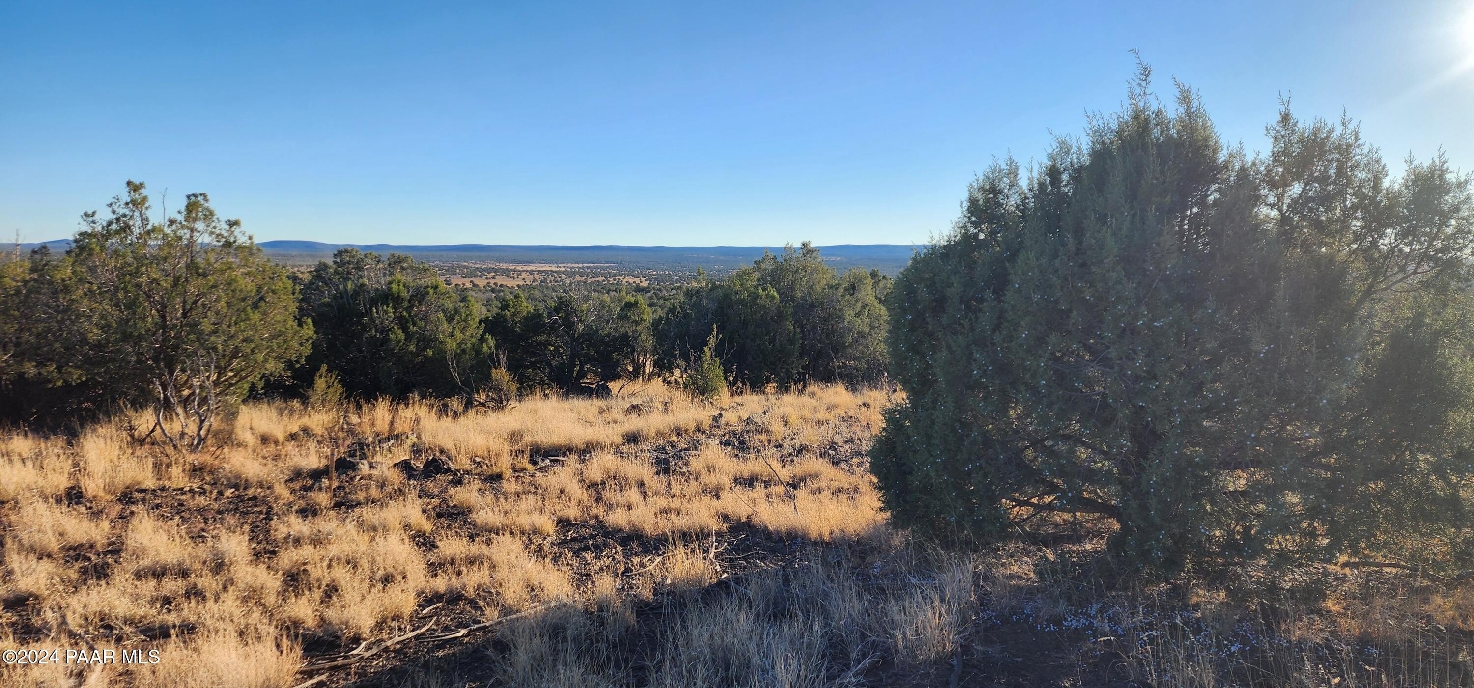 Ash Fork Land For Sale