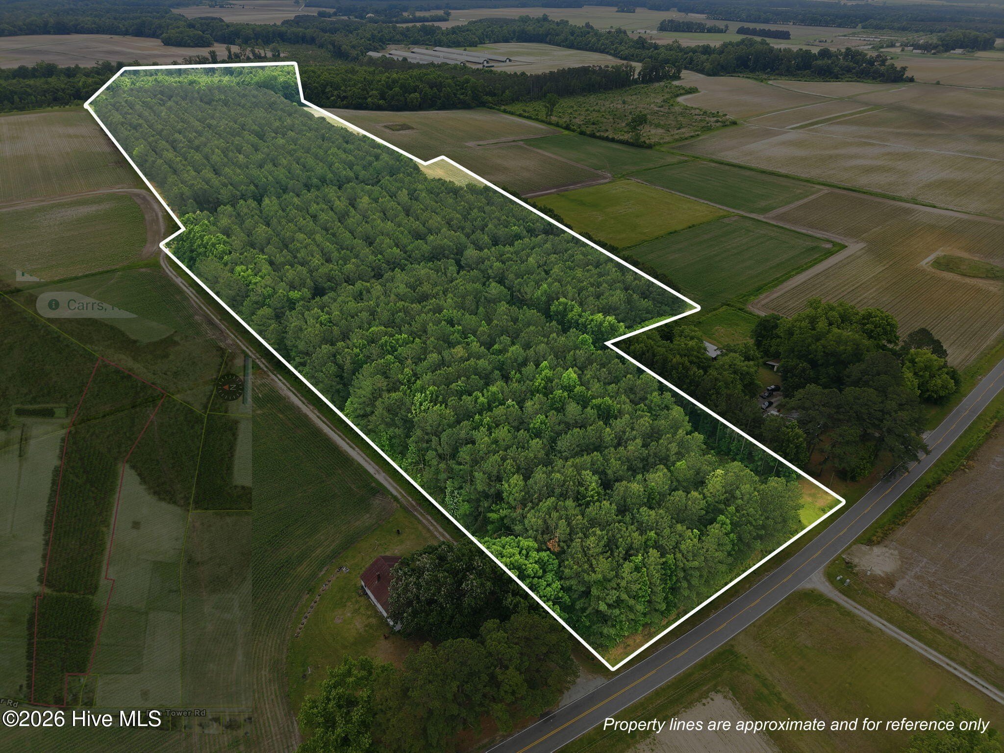 34 Acres of Woodland in Walstonburg