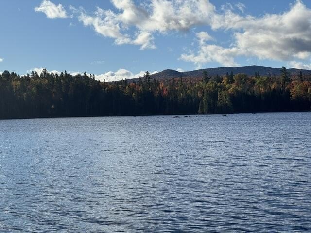 Picture 25