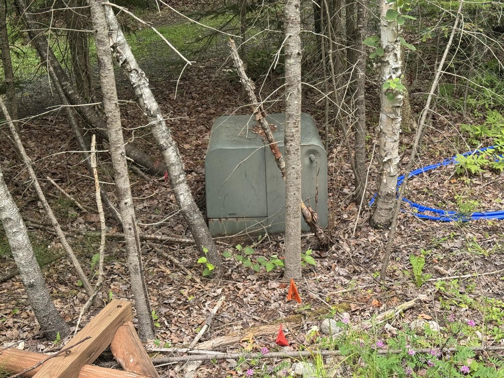 Picture 4