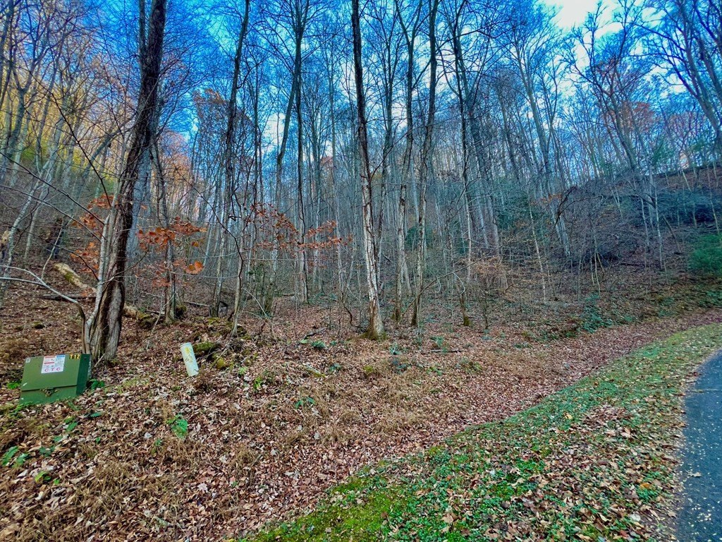 Picture 7