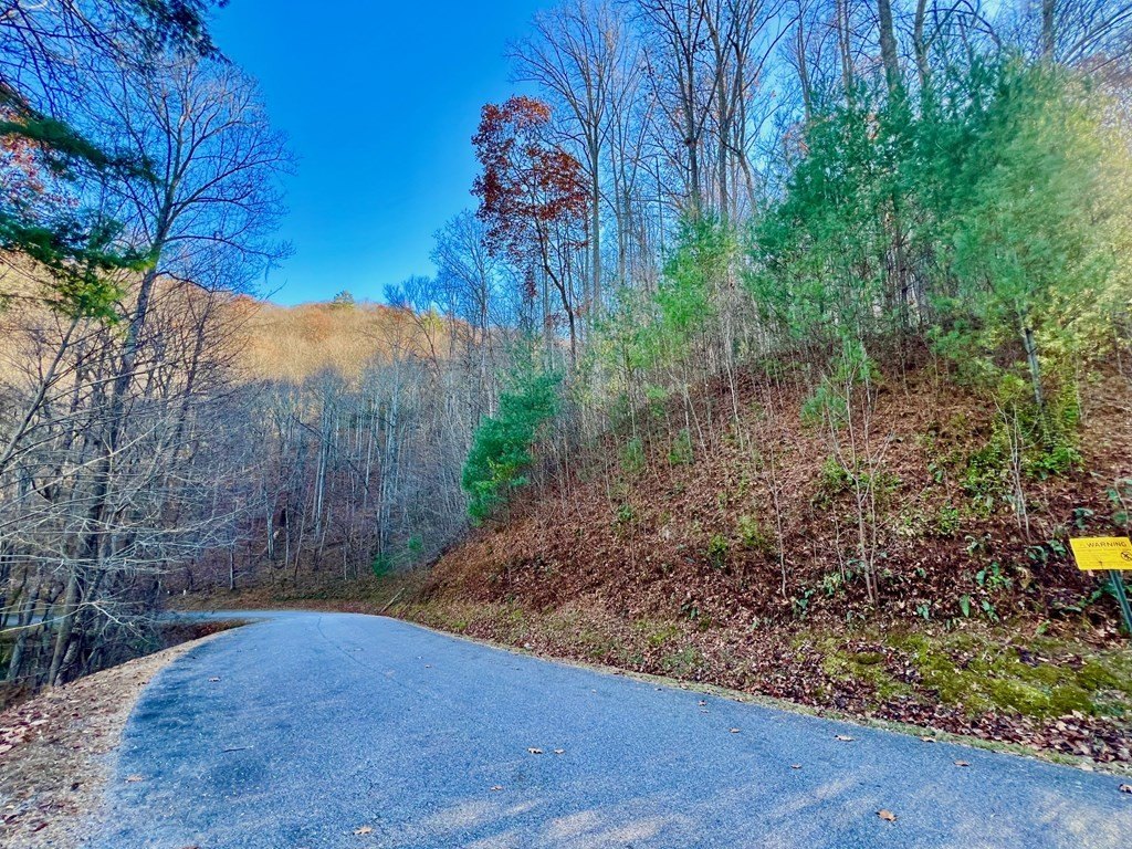 Picture 17
