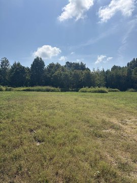 Land, Ripley, TN