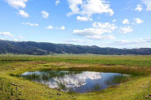 25 Acre Farm Potential Land