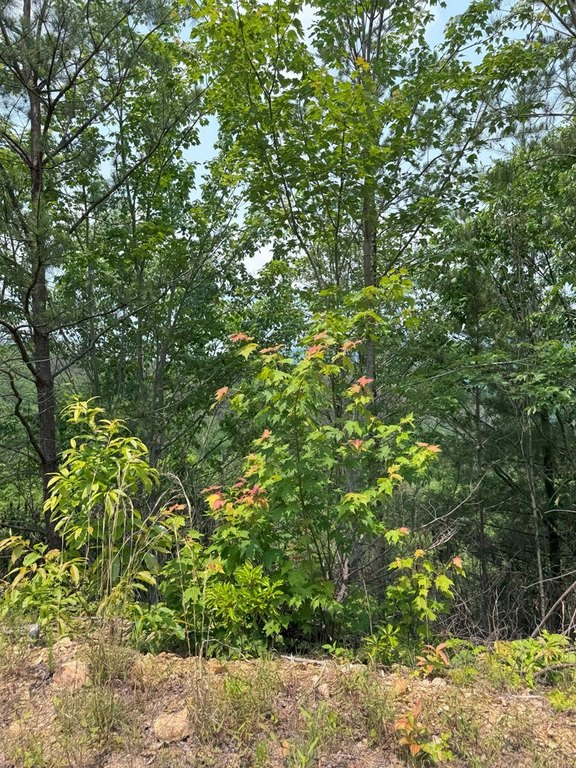 Picture 23