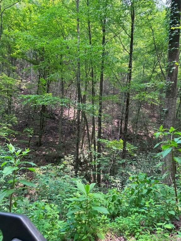 Picture 10